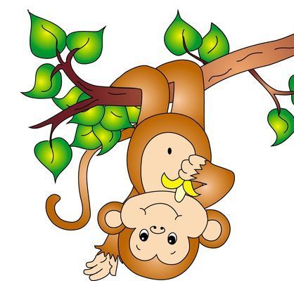 monkey facts for kids