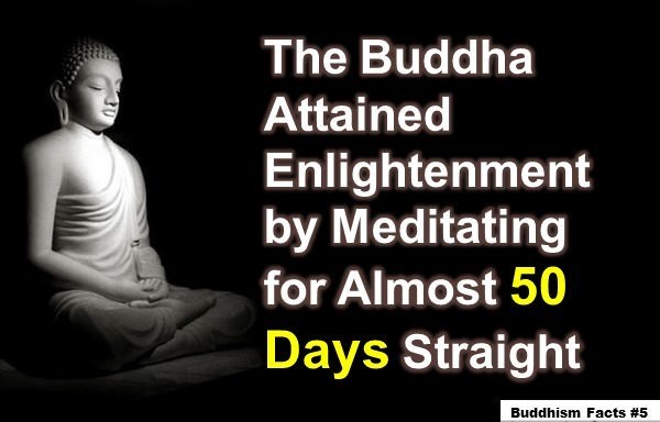 buddhism facts