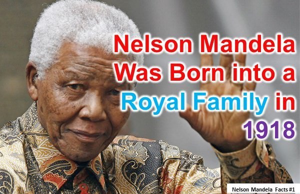 Nelson mandela facts