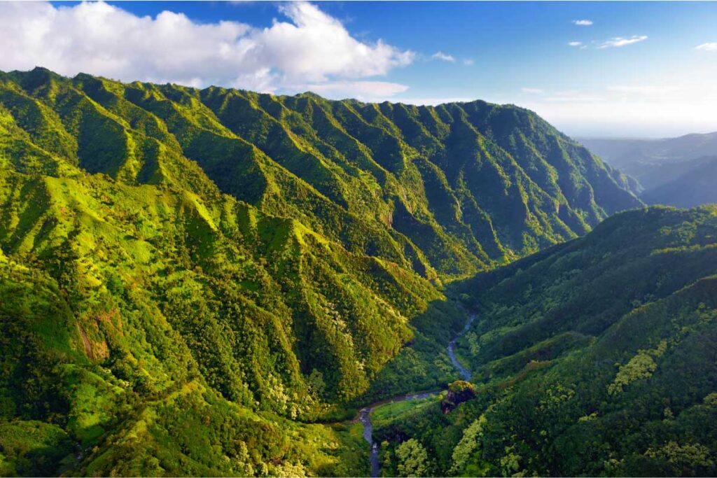 Aerial View of Green Fields on Kauai, Hawaii