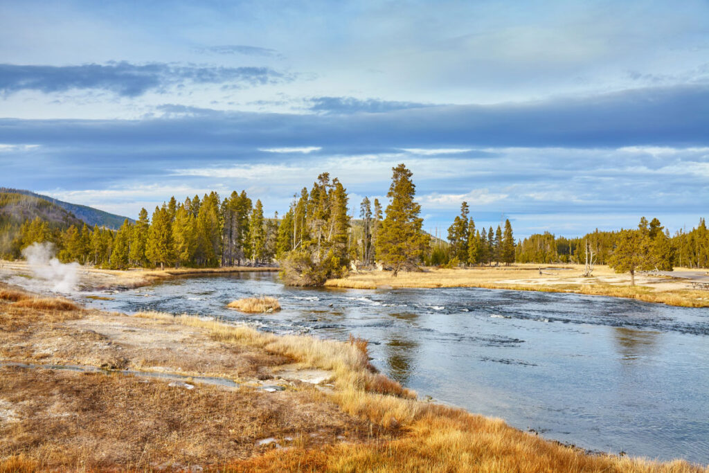 21 Interesting Facts About Yellowstone National Park (2022) 10 Yellowstone National Park