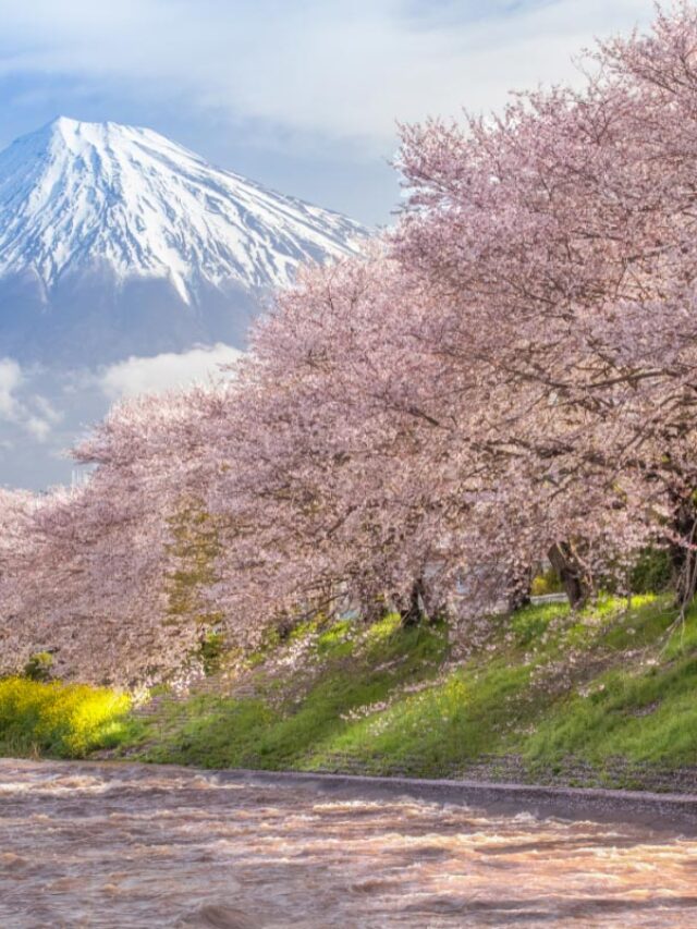 25 Interesting Facts About Mount Fuji You Might Not Know Story