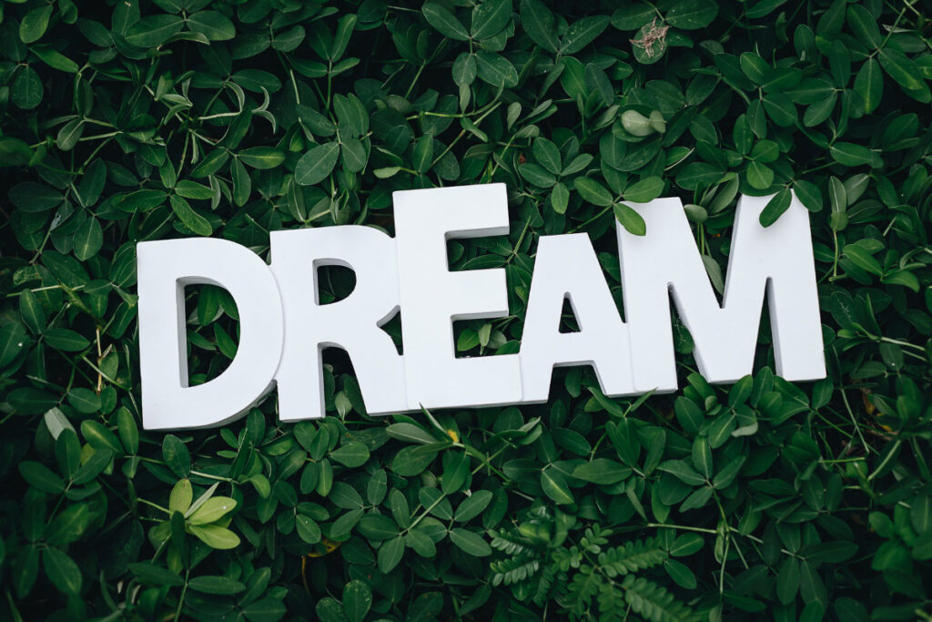 word dream in grass