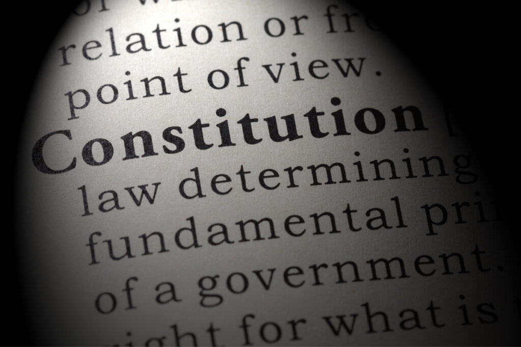 constitution in focus
