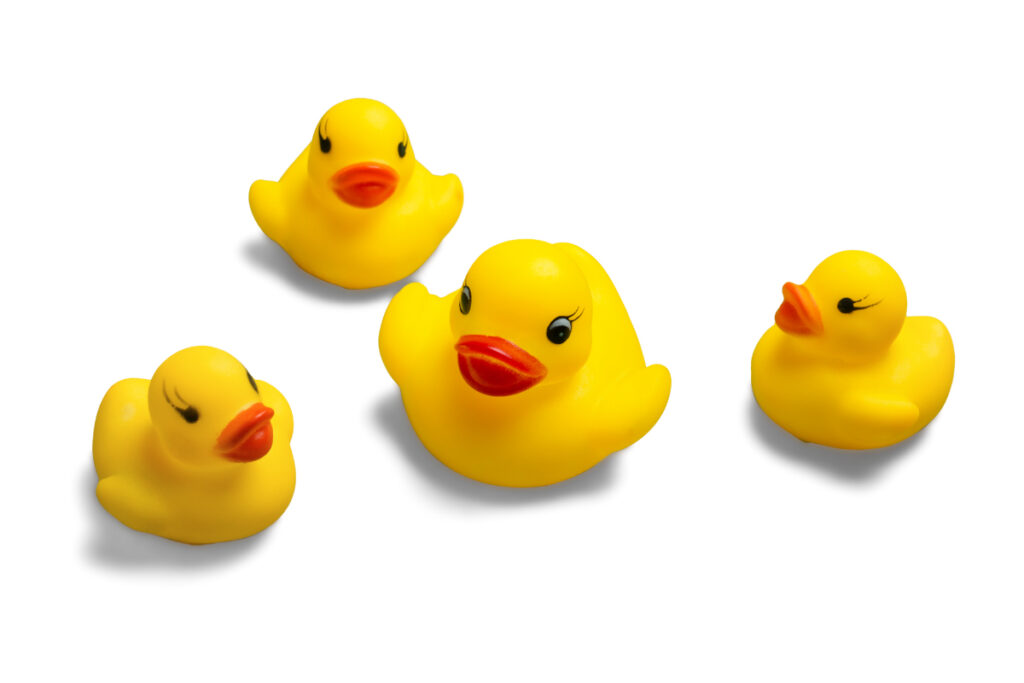 bath ducks