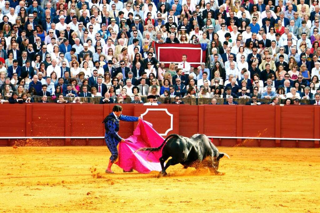 Bullfight-Show-in-Seville