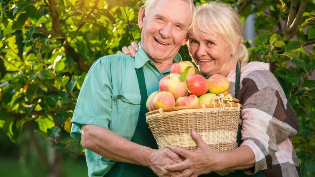 Happy gardeners holding apple basket. 