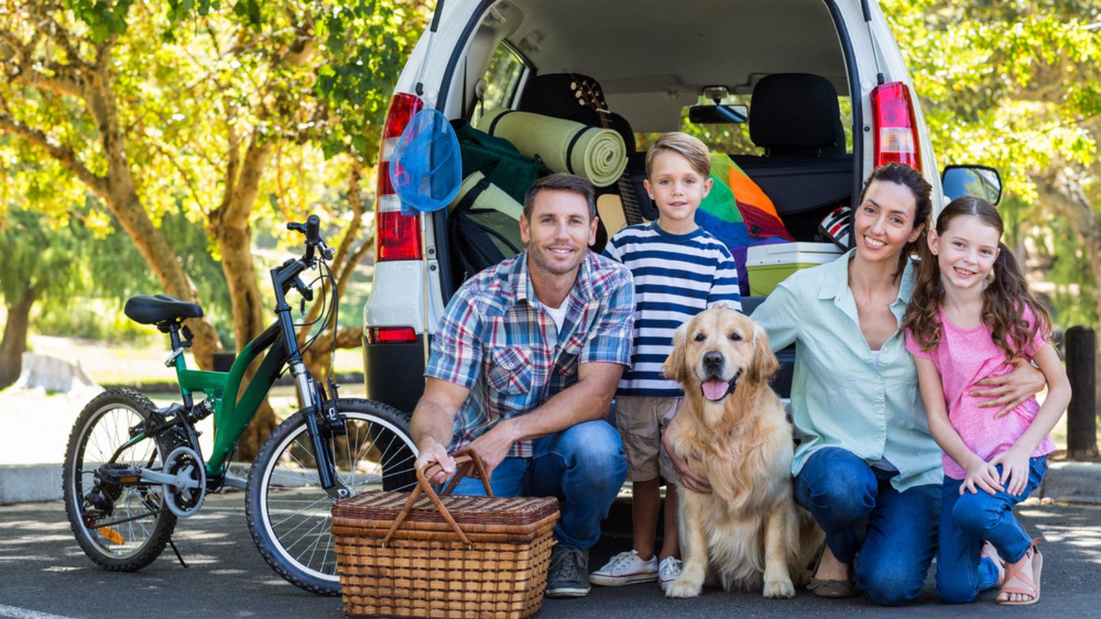 family road trip car picnic basket bike dog