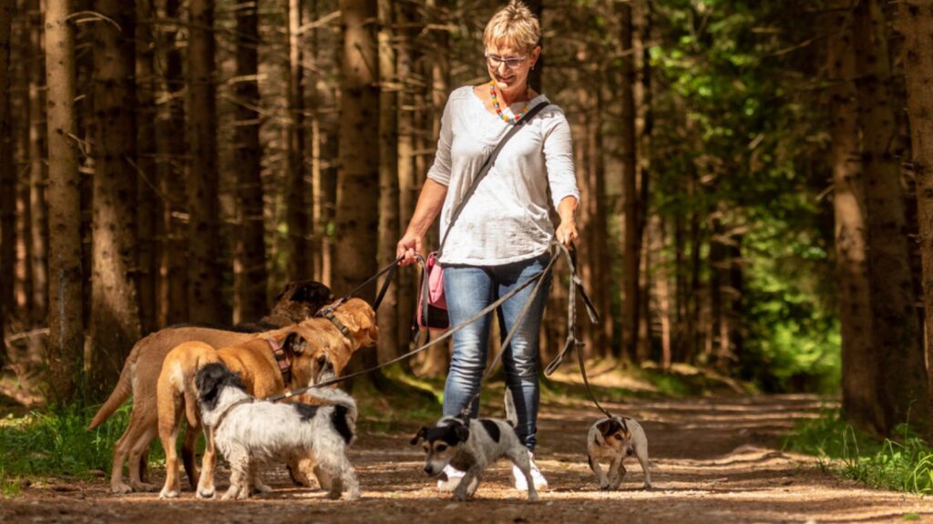Old woman dog sitter