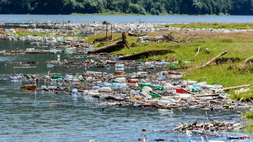 Pollution of water with waste plastics garbage in Lake Izvor Muntelui in Romania. 