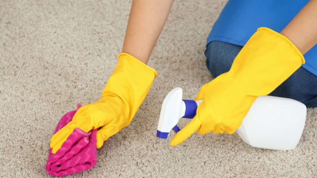 Woman cleaning carpet at home, closeup