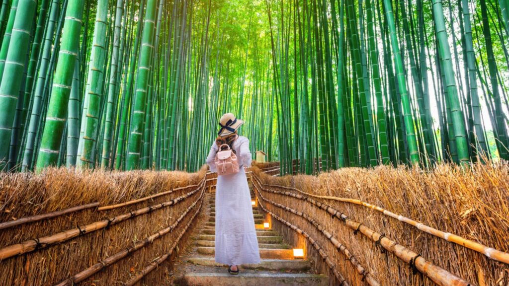 Woman walking at Bamboo Forest in Kyoto, Japan