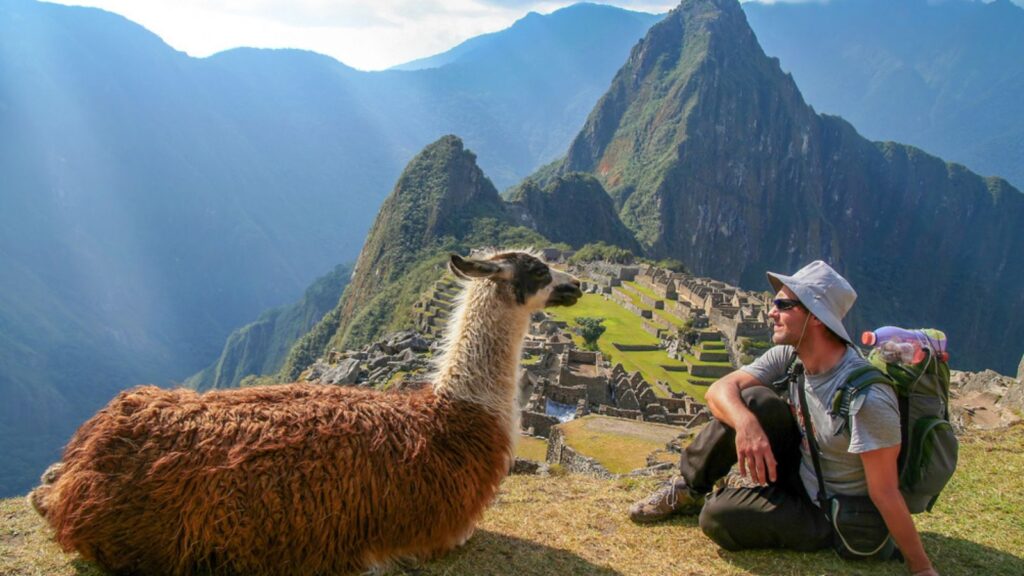 tourist and llama in machu picchu with llama backpacker traveler
