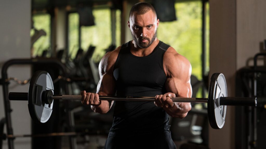 Muscled Male Model Exercising Biceps With Barbell