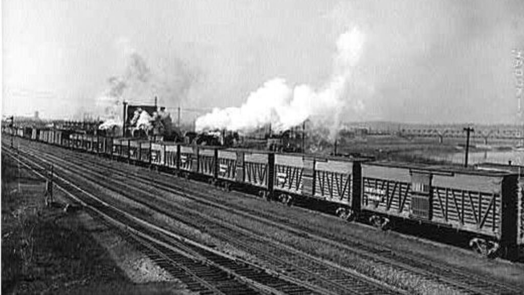 An Atchison, Topeka and Santa Fe Railway train full of stock cars leaves the yard for points east.