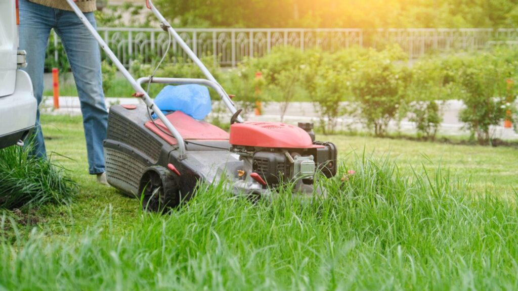 Lawn mower cutting green grass, gardener with lawnmower working