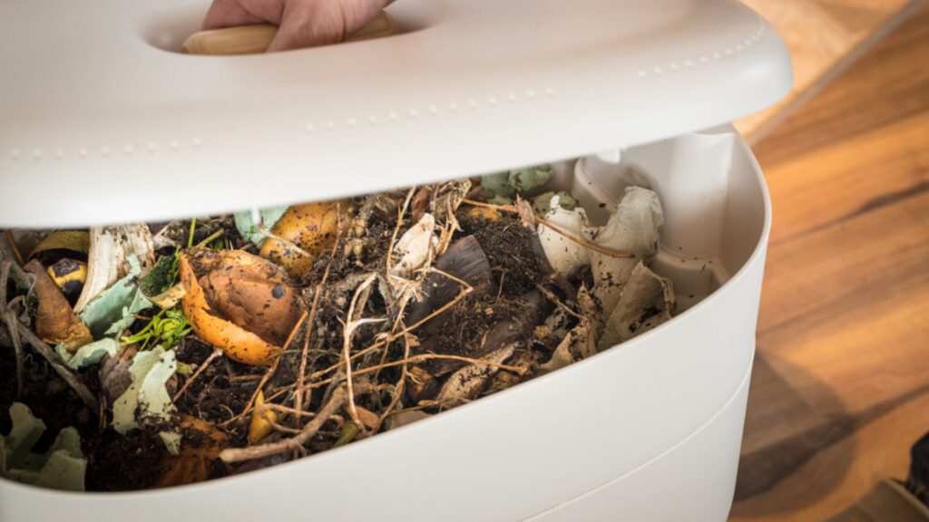 Worm farm, composter. Eco-friendly home disposal of biodegradable waste and processing it into natural fertilizer