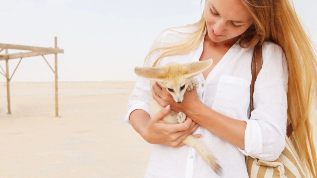 Young woman holding fennec fox