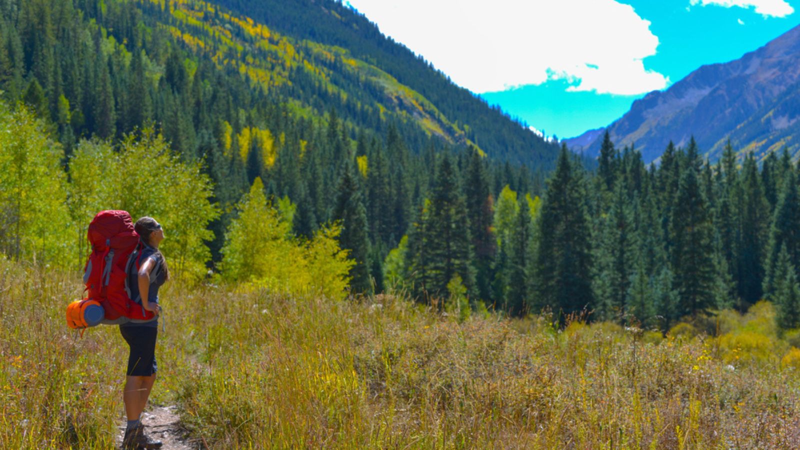 Backpacker Hiking Conundrum Creek Trail near Aspen, Colorado.