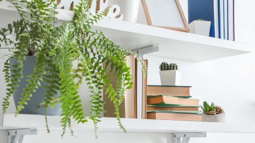 Shelves with books hanging on light wall.