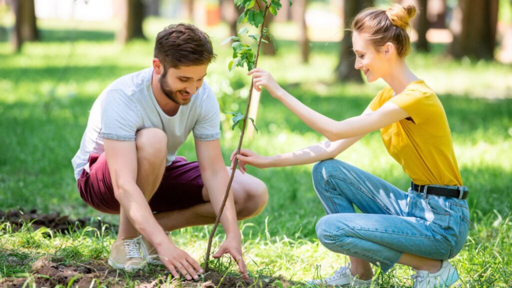 Young couple planting new tree in park