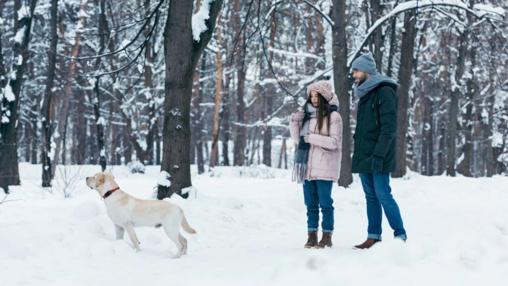 winter walk couple snow dog