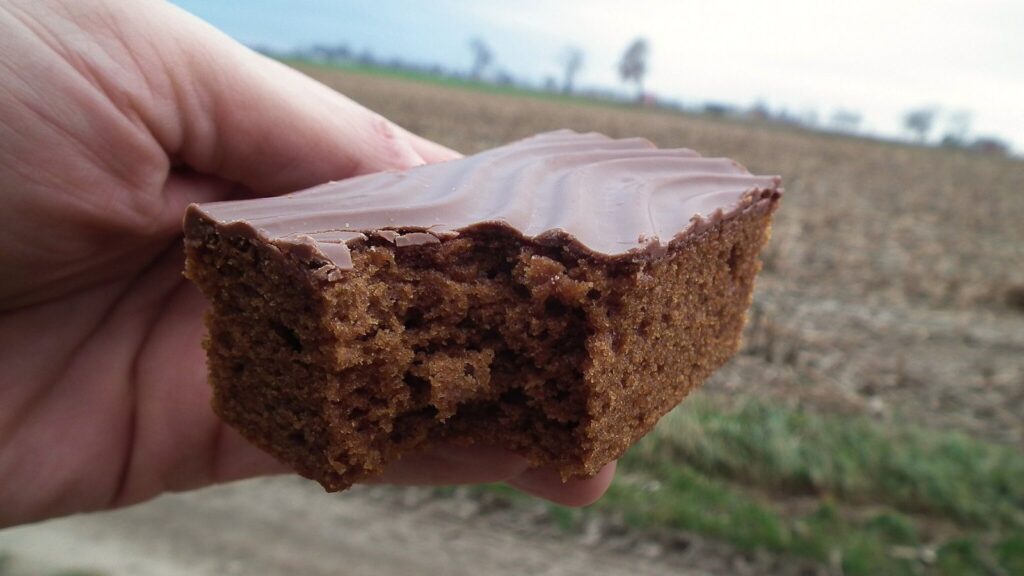 Piernik poland christmas holiday cake